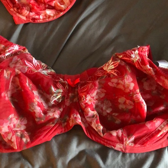 Elomi underwire bras. 42G size. - Picture 3 of 4